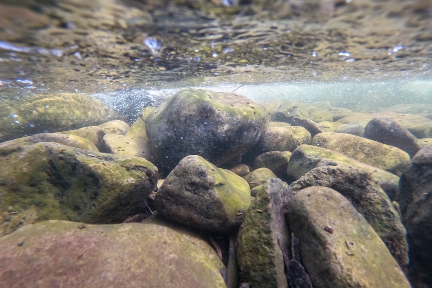 Clear water and river rocks.