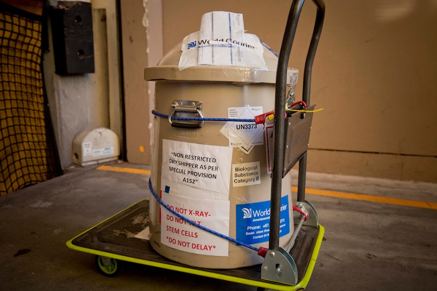 A cylindrical tank containing frozen stem cells rests on a trolley at the back entrance of a medical facility.