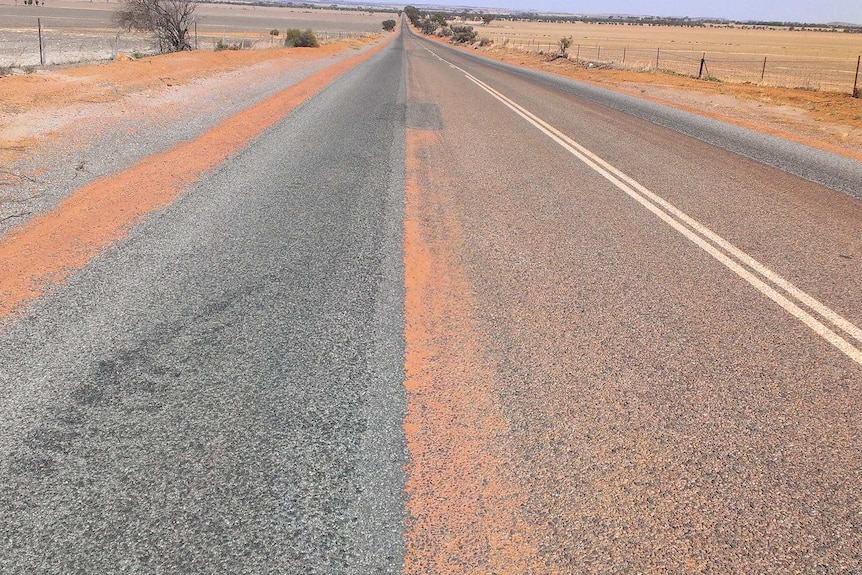 A long bitumen road in WA's wheatbelt.