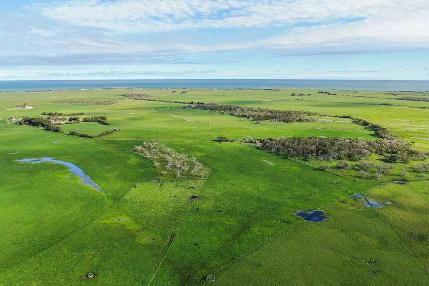 An aerial photo shows large green paddocks with large patches of trees on them, a coastline and blue sky in the background.