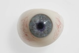 A glass eye, Paul McClarin collection, National Museum of Australia.