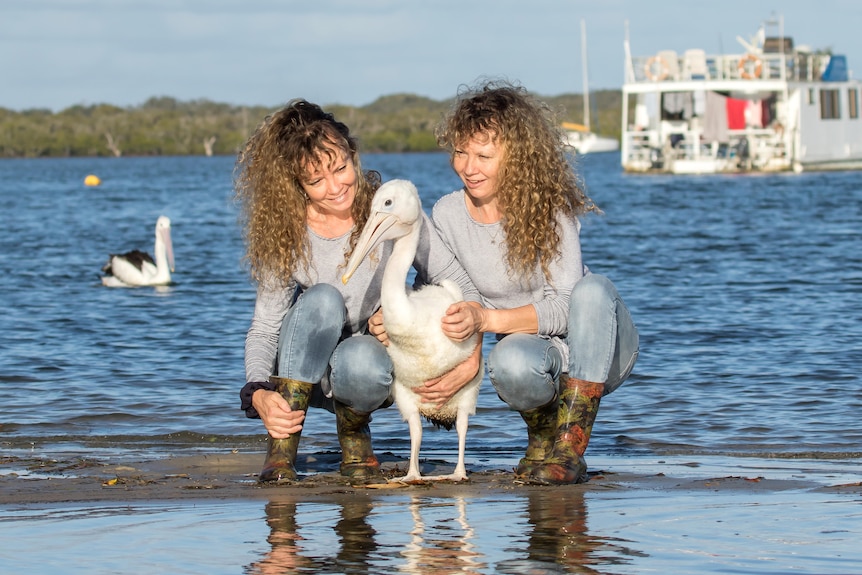 Two women kneel next to a pelican, waterside