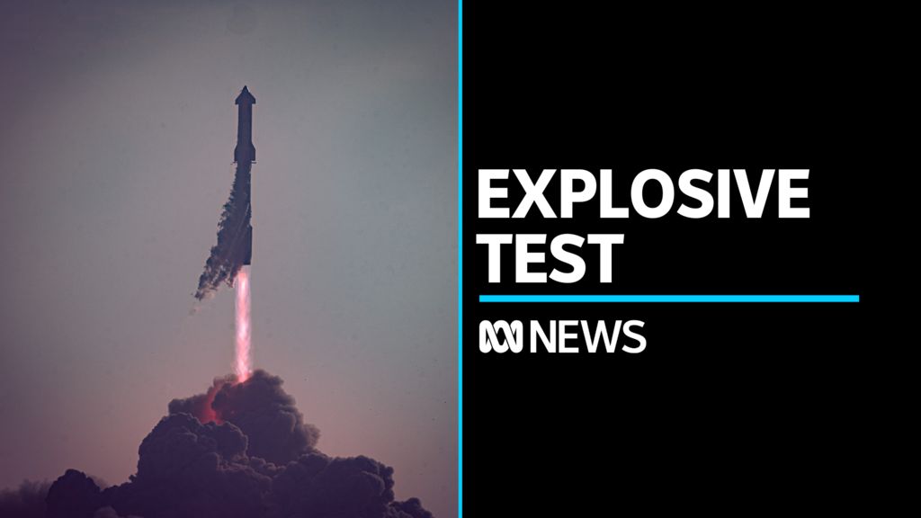 Thousands of flying foxes have taken up roost in yards around a small