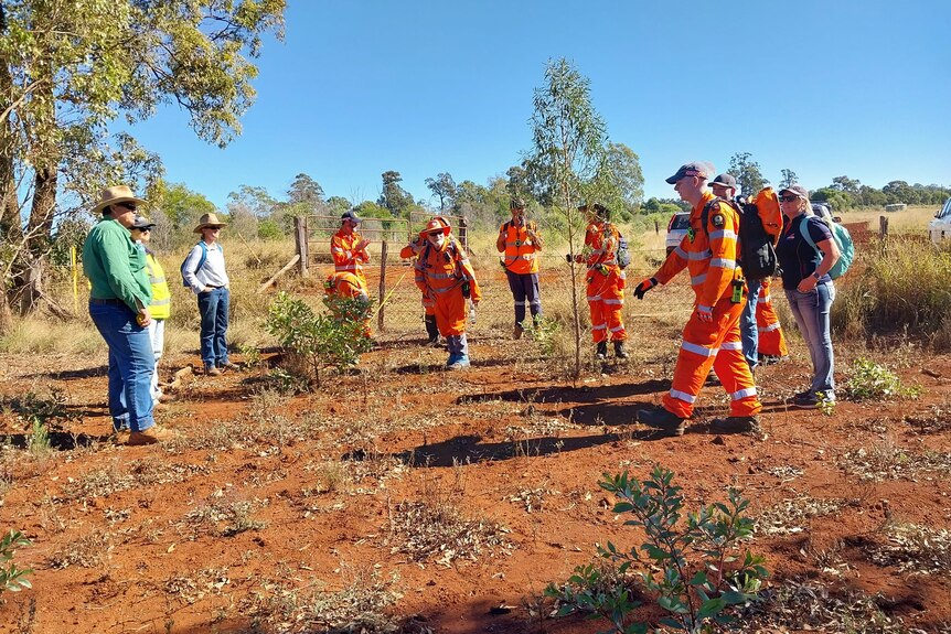 SES volunteers search scrubby bushland.