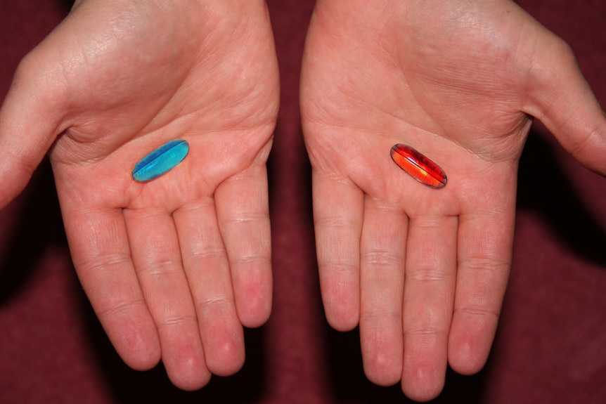 A red pill and a blue pill in a person's outstretched hands