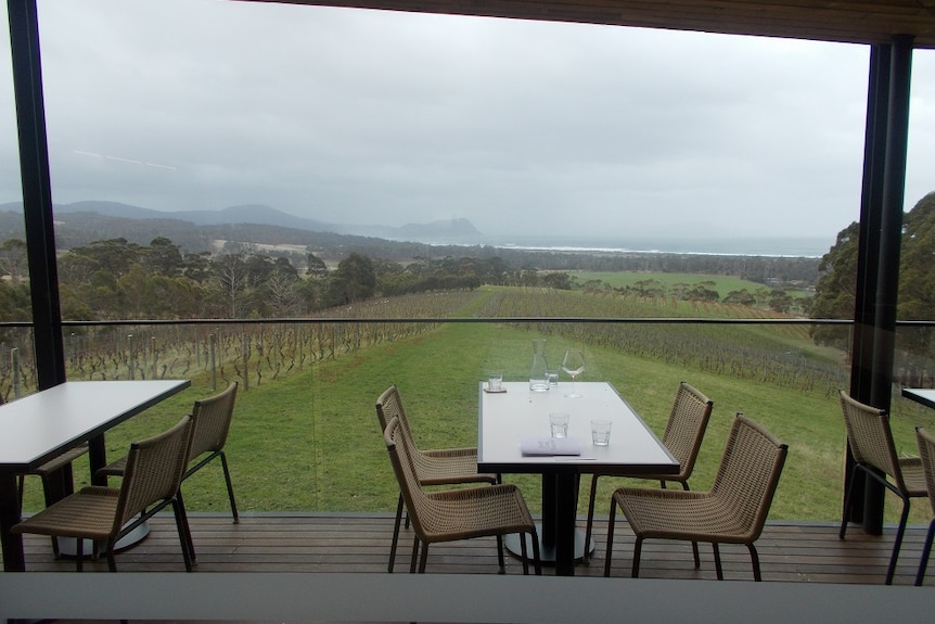 A picture taken from inside a cellar door at Bream Creek which shows the view of Marion Bay over the vines