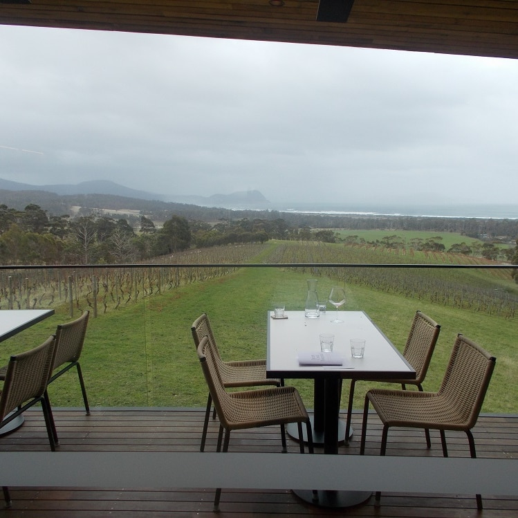 A picture taken from inside a cellar door at Bream Creek which shows the view of Marion Bay over the vines