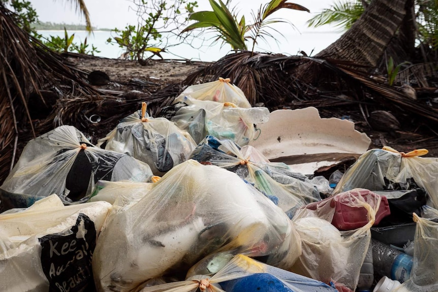Bagged waste on Direction Island