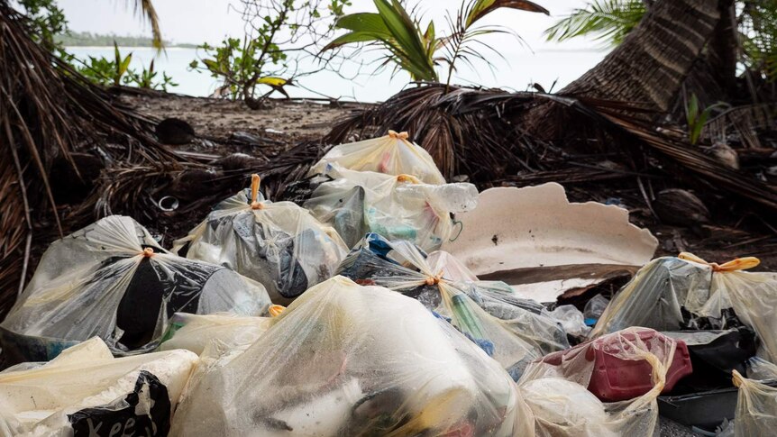 Bagged waste on Direction Island