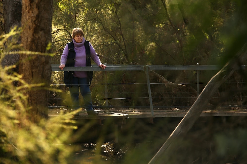 A woman stands on a wooden footbridge in bushland over a brook, looking down from the bridge.