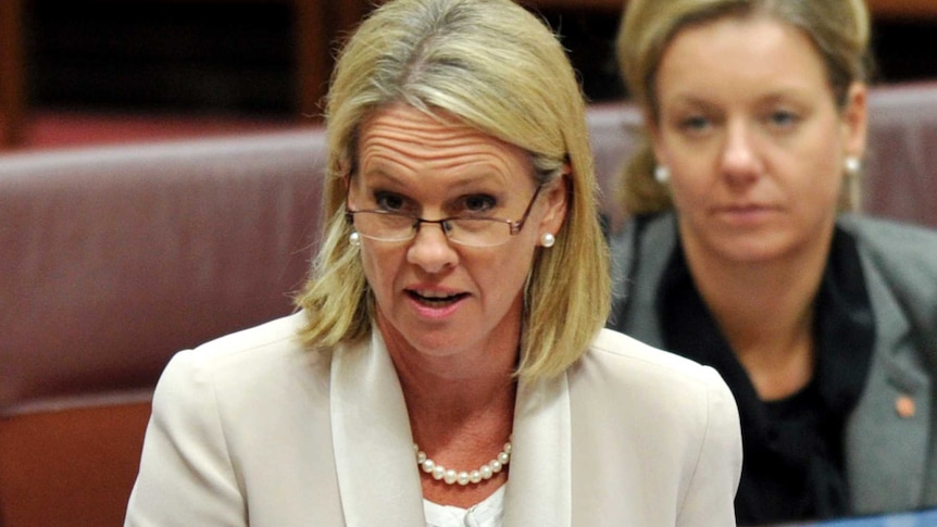 Leader of the National Party, Fiona Nash speaks during Senate Question Time