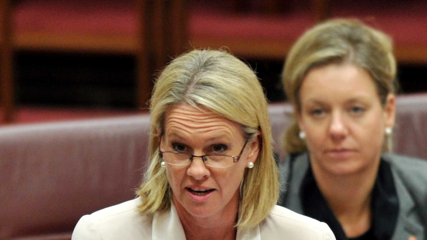 Fiona Nash speaks during Senate Question Time