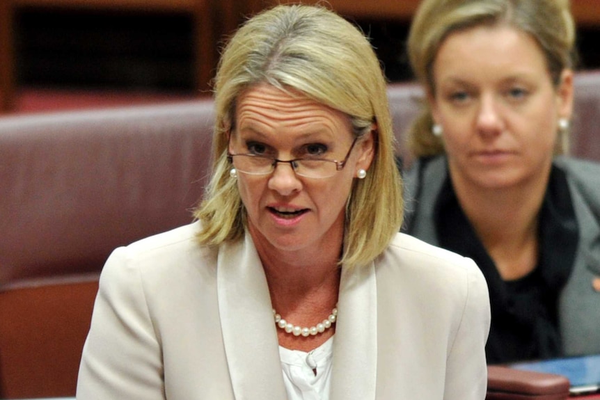 Leader of the National Party, Fiona Nash speaks during Senate Question Time