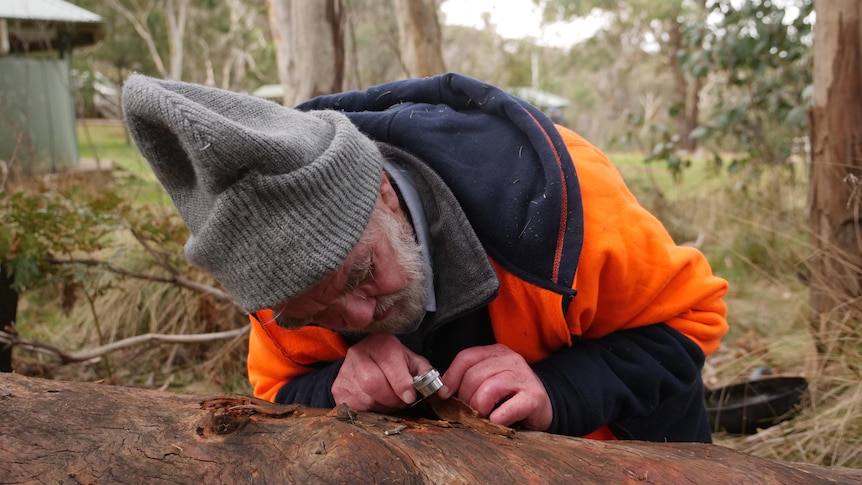 A older man in a beanie with a microscope looking at a tree 