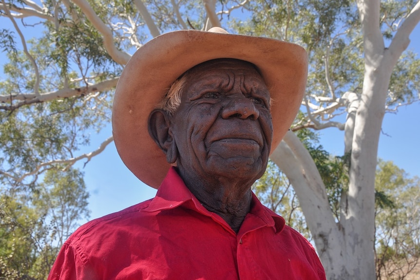 Jimmy Wavehill wearing a cowboy hat next to a tree.