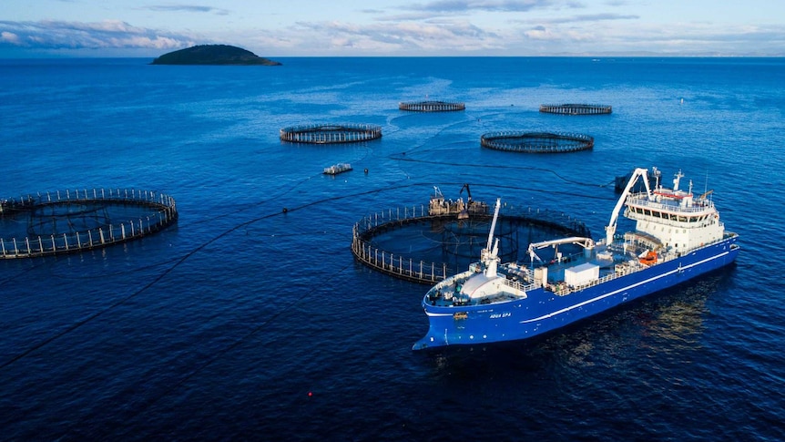 Large ship next to a fish farm pen in the ocean.