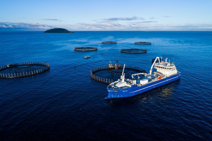 Large ship next to a fish farm pen in the ocean.