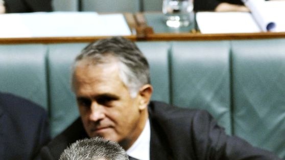 There is speculation Malcolm Turnbull is planning to make a move on Brendan Nelson