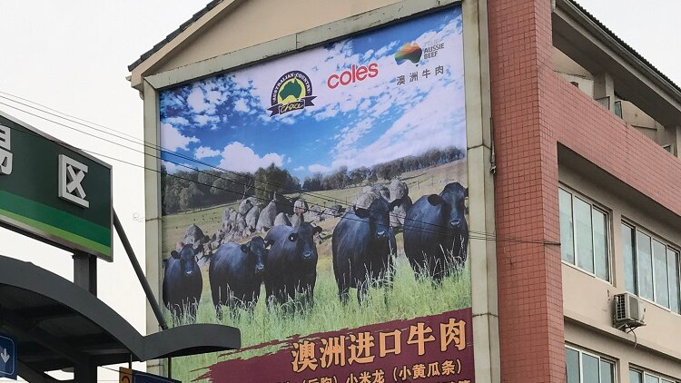 Billboard in China with Coles on it