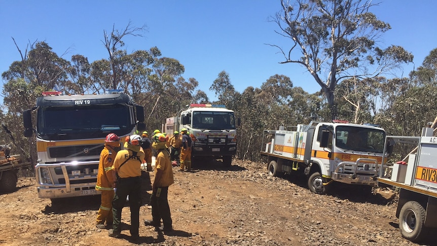 Firefighters stand talking near trucks in ACT bushland.