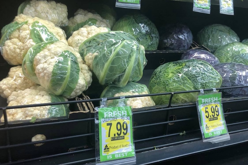 A vegetable on a supermarket shelf.