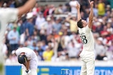 Josh Hazlewood holds his arms in the in celebration while a despairing Ben Stokes keels over his bat