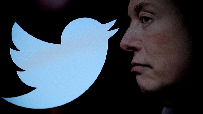 Illustration shows an image of Elon Musk's face next to the Twitter logo