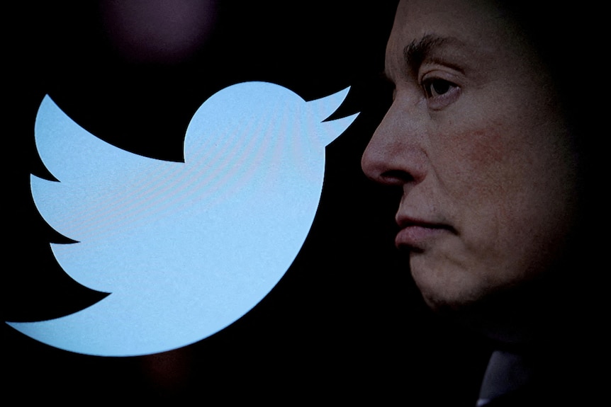 Illustration shows an image of Elon Musk's face next to the Twitter logo