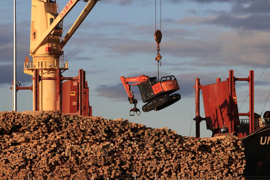 Plantation timber in a Tasmanian port.