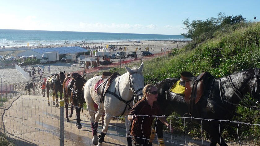 Beach polo ponies walking up the path at Cable Beach, Broome