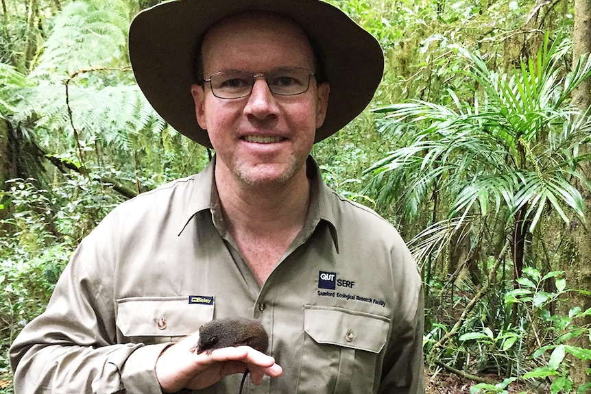 A man stands amidst rainforest with a small marsupial mouse balanced on the top of his hand