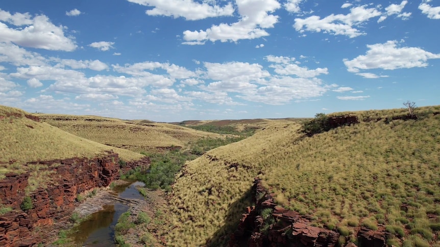 An outback landscape.