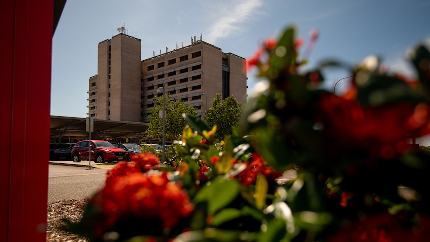 The Royal Darwin Hospital building seen from a distance,  on a sunny day, with a red flower bush in the foreground.