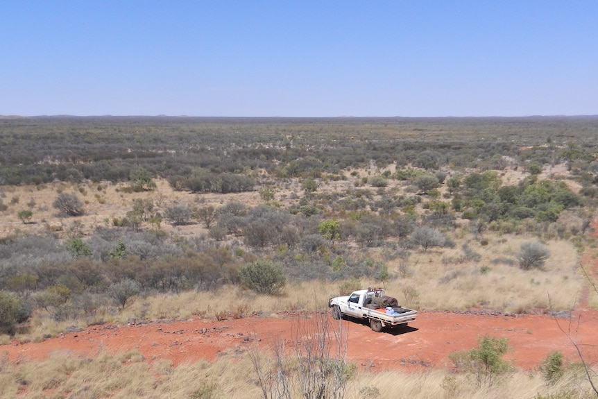 A view of the outback in the NT. There's shrubs, red dirt and and a ute in the foreground.