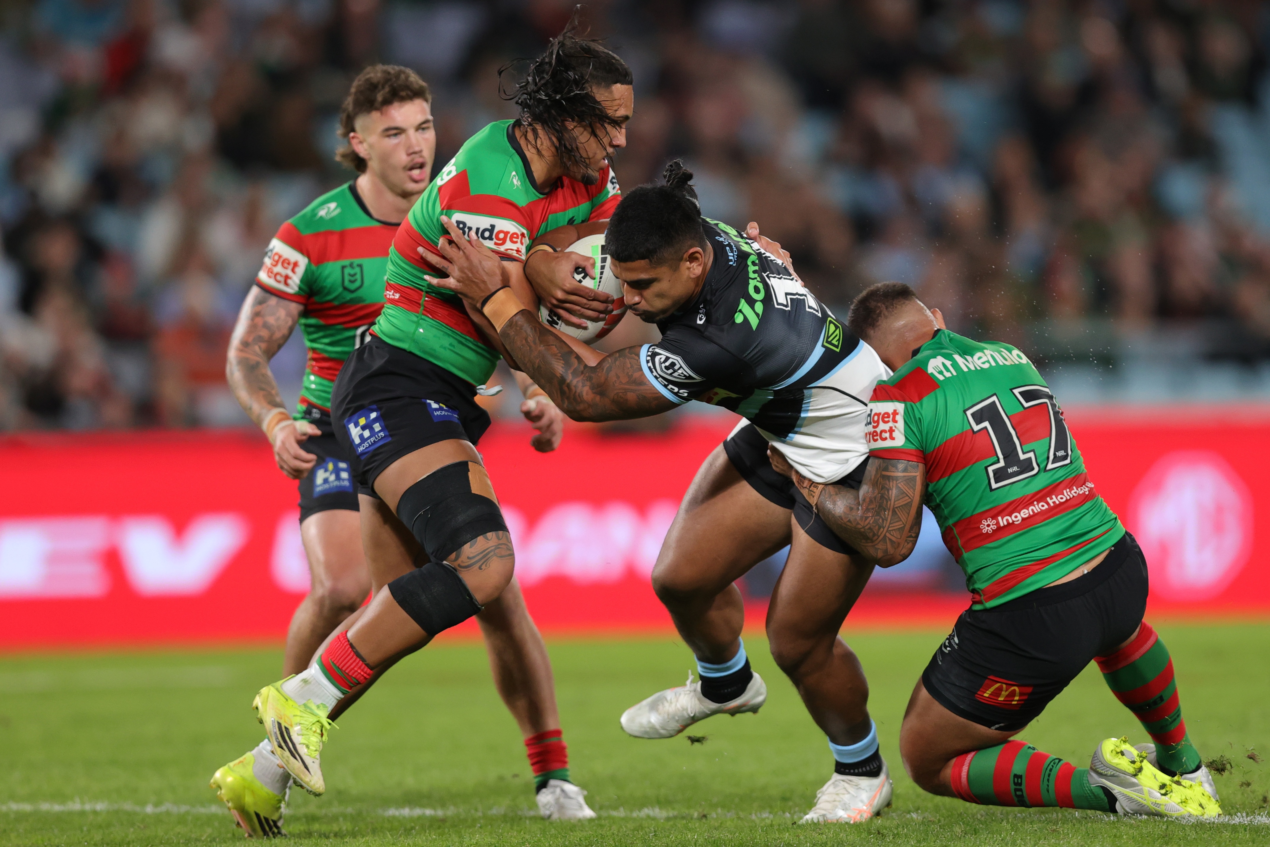 Shark Attack Looms: Souths Face Formidable Cronulla in Crunch Top-Eight Battle