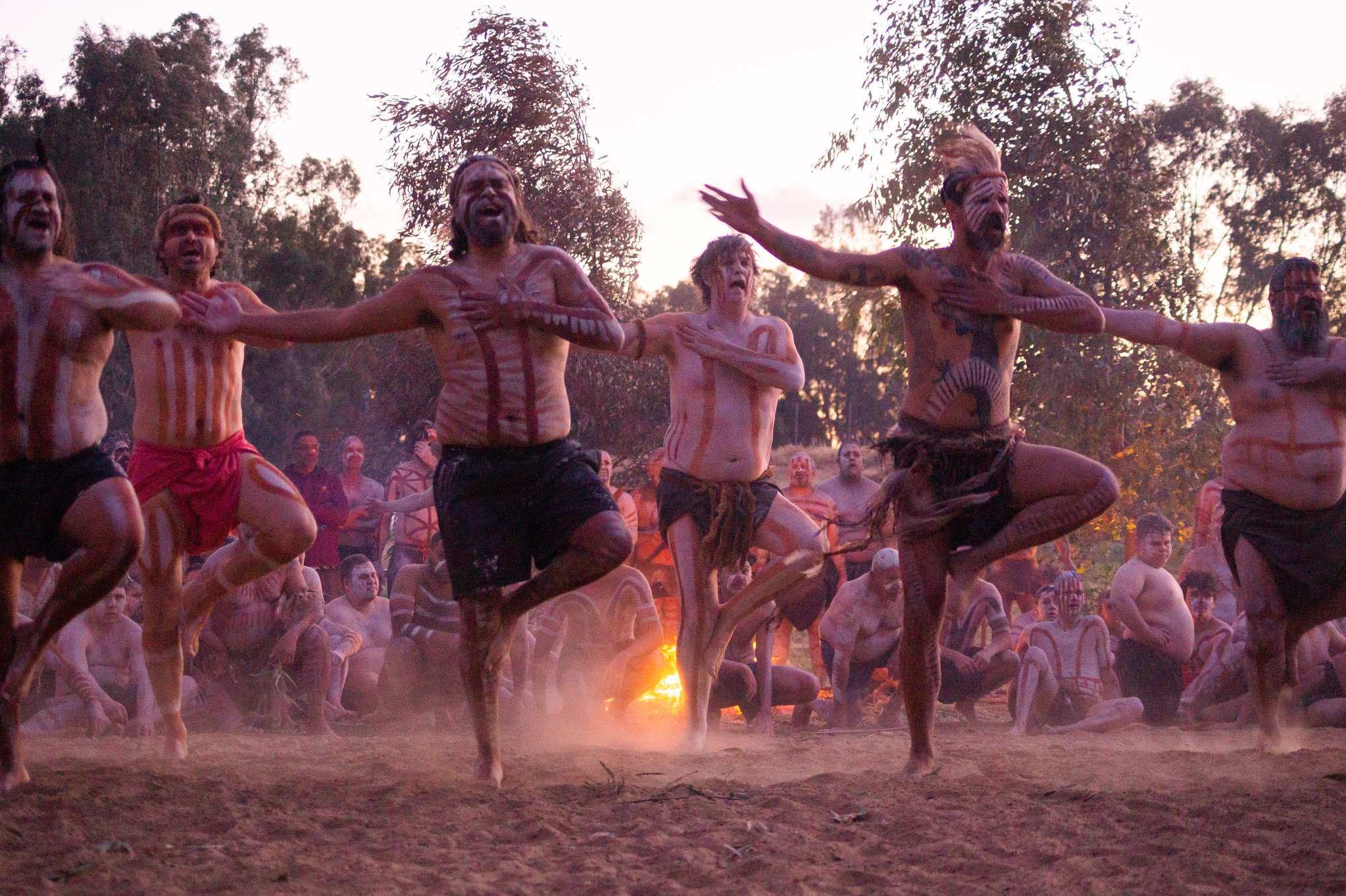 Коренное население австралии