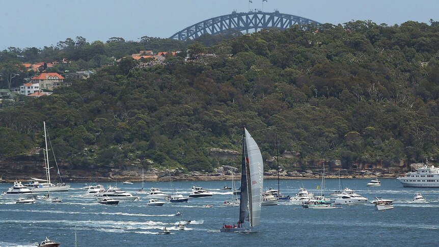Wild Oats XI heads down Sydney Harbour after the start of the 2012 Sydney to Hobart yacht race.