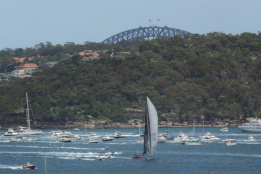 Wild Oats XI heads down Sydney Harbour after the start of the 2012 Sydney to Hobart yacht race.