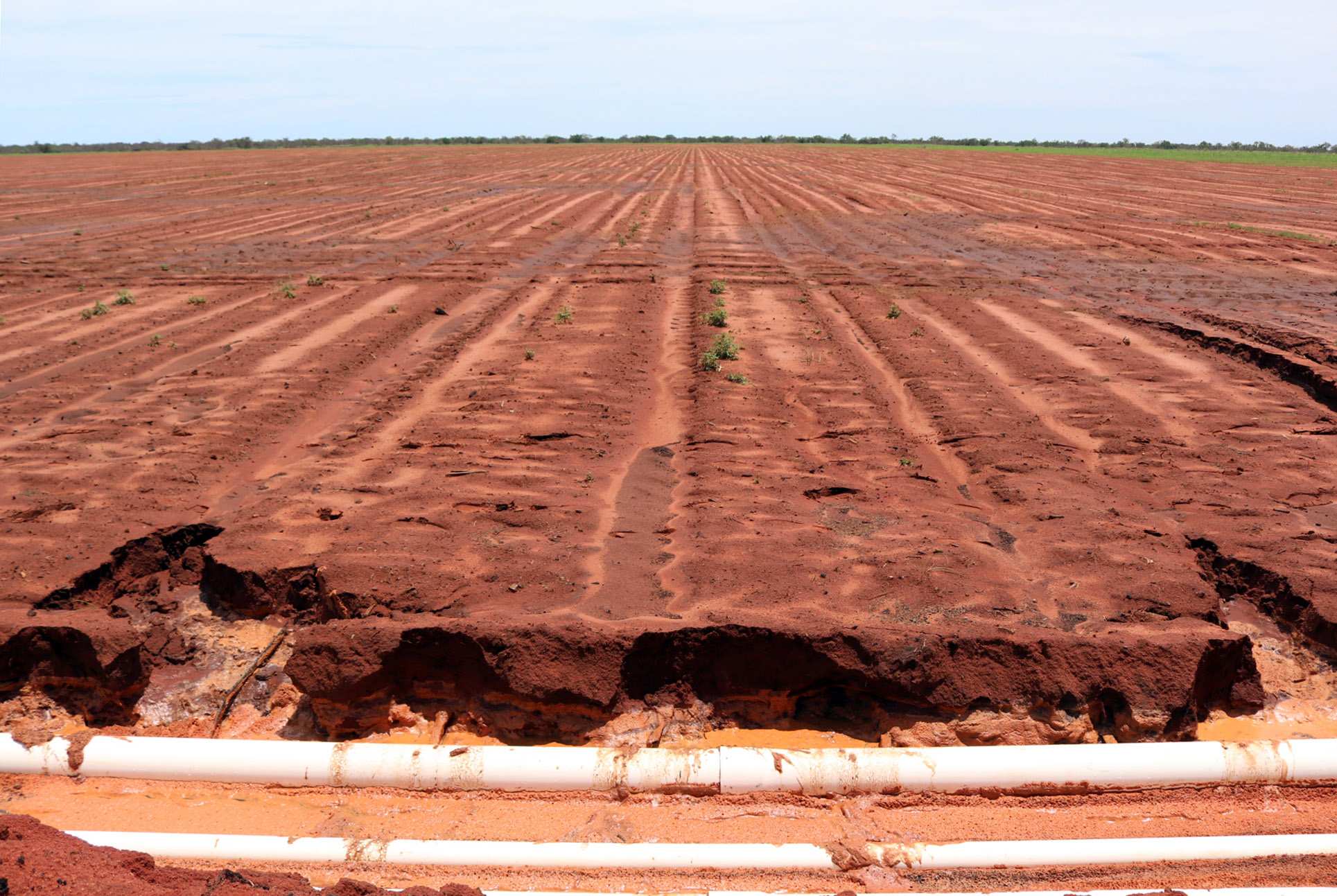 Pastoralist bucks pivot trend to trial subsurface irrigation in WA's Kimberley ABC News
