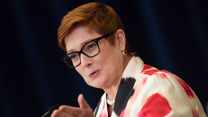 Foreign Minister Marise Payne speaks at a news conference