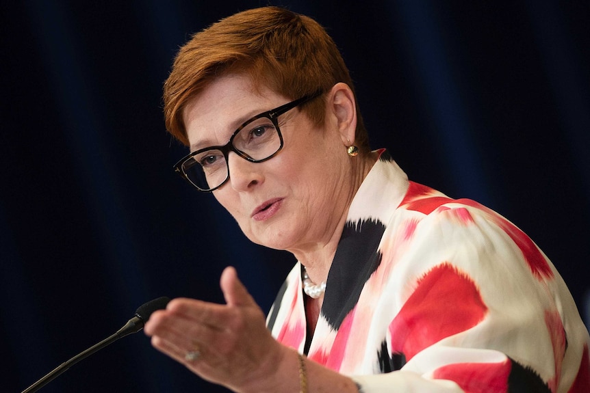 Foreign Minister Marise Payne speaks at a news conference