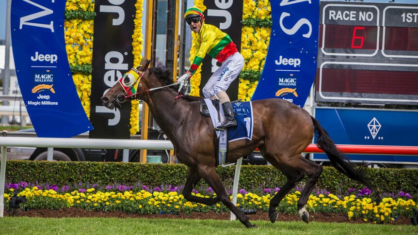 Classy display ... Glen Boss guides Lucky Hussler to victory in the Magic Millions Cup