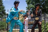 Family Elvises