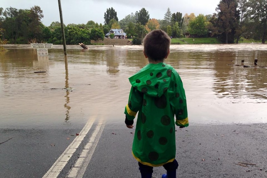 Bellinger River in flood