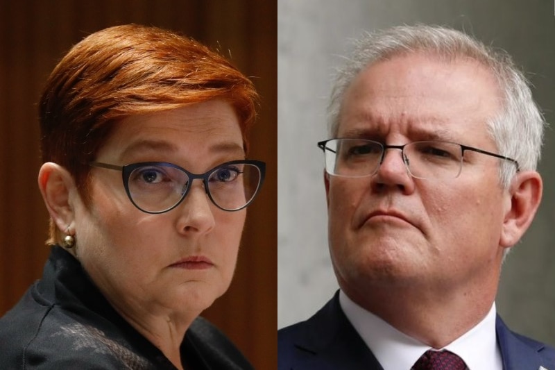 A composite image of Senator Marise Payne and MP Scott Morrison.