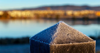 Frost on a post in Canberra.