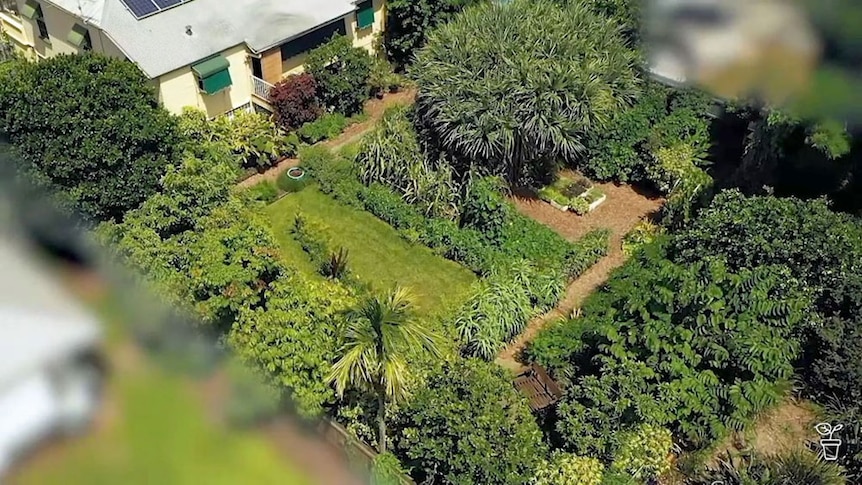 Aerial view of a suburban productive garden.