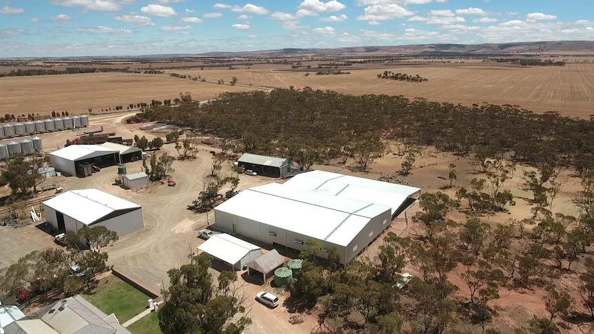 Aerial picture of a shearing shed and other farm buildings