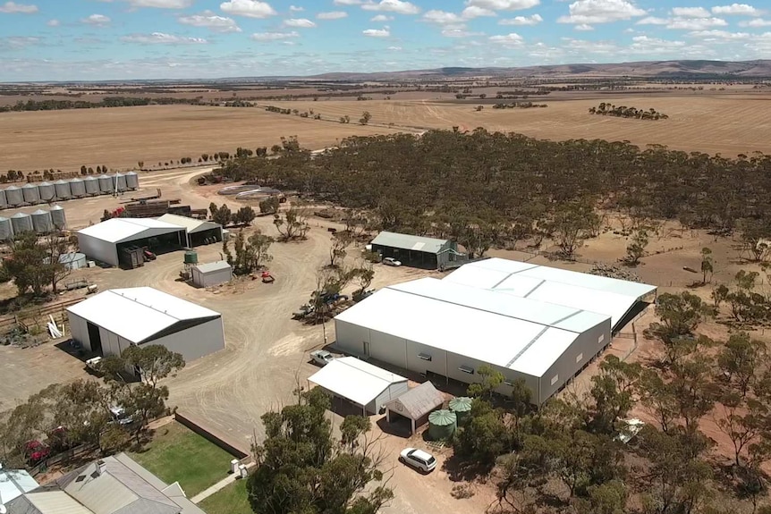 Aerial picture of a shearing shed and other farm buildings