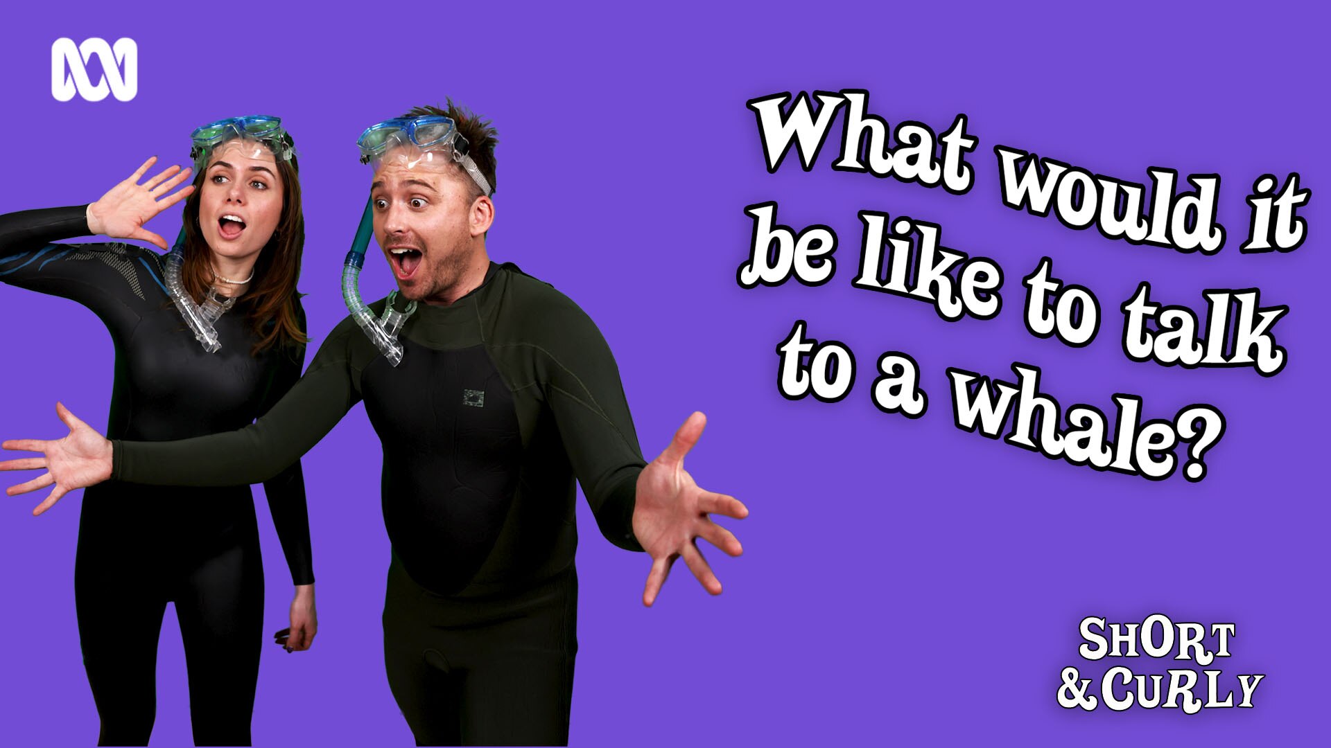 What would it be like to talk to a whale?